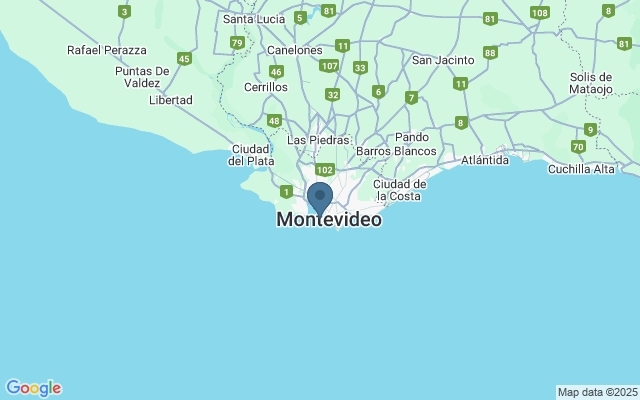 Kaart met locatie Mercado del Puerto